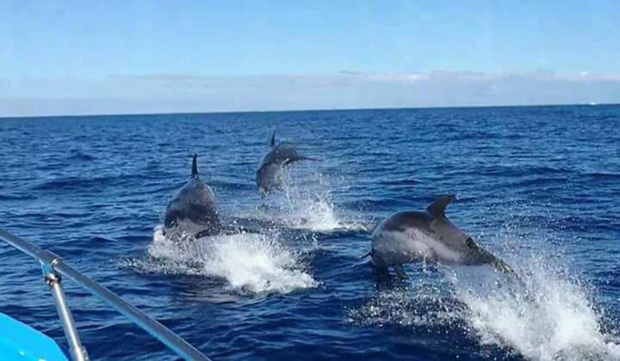 Blue Ocean Camp - Tasartico Ξενοδοχείο Εξωτερικό φωτογραφία